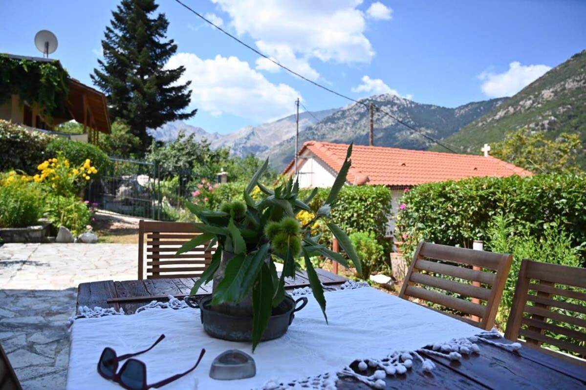 Kalavrita Winter Retreat - Homely Spacious Chalet Ano Vlasia Exterior photo